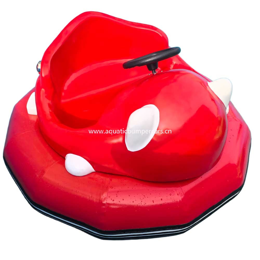 Amusement Park Water Bumper Cars