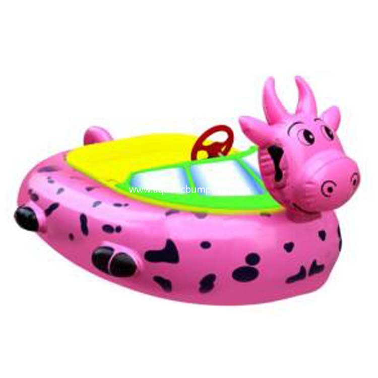 Rechargeable Bumper Boats